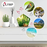 Olympia Sounds of Nature