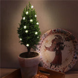 Goobay 60332 dekorativ belysning Fairy lights 20 pære(r ) LED 0,04 W