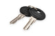 Digitus DN-19-KEY-4444 tilbehør til rack Låsetast