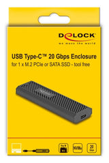 DeLOCK 42031 drevkabinet SSD kabinet Sort M.2