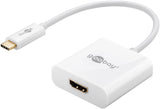 Goobay 66259 USB grafisk adapter Hvid