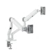 ALOGIC C32GMA2 skærmbeslag og -stativer 81,3 cm (32") Skrivebord Hvid