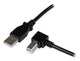 StarTech.com USBAB3MR USB-kabel USB 2.0 3 m USB A USB B Sort