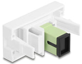 DeLOCK 90894 stikkontakt SC Lime, Hvid