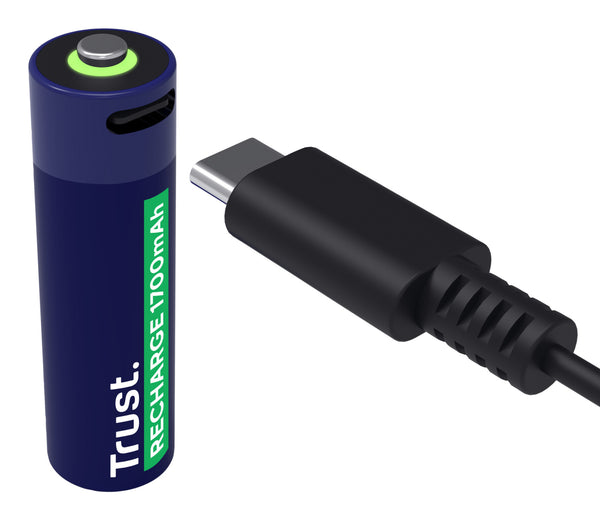 Trust 25631 husholdningsbatteri Genopladeligt batteri AA