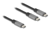 DeLOCK 81271 USB-kabel 1,2 m USB C 2 x USB C 100 W Sort, Grå