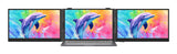 Blackview DCM8 Pro computerskærm 38,9 cm (15.3") 1920 x 1200 pixel WUXGA LCD Grå