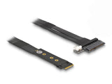 DeLOCK 64216 interface-kort/adapter Intern M.2, U.2