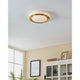 EGLO Led Carpi loftbelysning