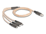 DeLOCK 88158 USB-kabel USB 2.0 1,2 m USB A USB C/Micro-USB B/Lightning Transparent