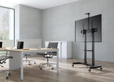 Gembird TVS-100T-02 tv-beslag 2,54 m (100")