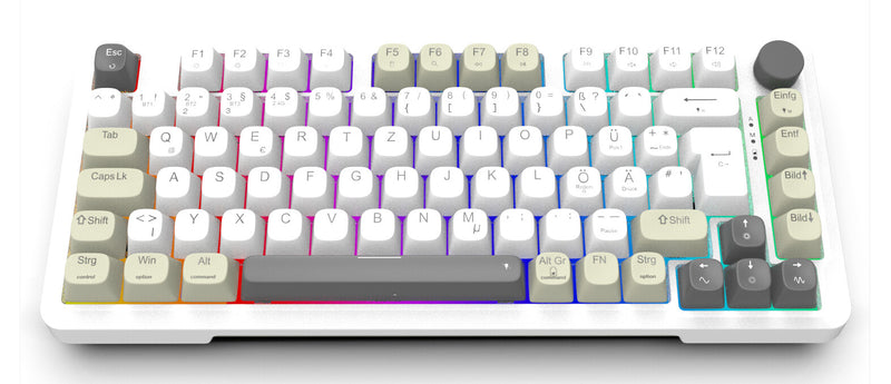 Inca IKG-455 tastatur Spil USB + RF Wireless + Bluetooth QWERTY Tysk Hvid