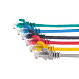 Netrack BZPAT55UE netværkskabel Grå 5 m Cat5e U/UTP (UTP)