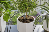 Gardena 13366-20 drypvandingssystem
