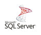 Microsoft SQL Server 2016 Government (GOV) 1 licens(er)