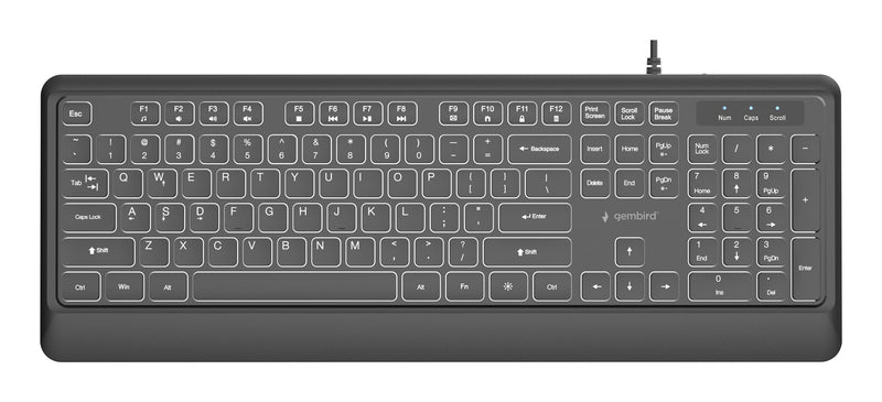 Gembird KB-UML-04 tastatur Universel USB QWERTY US International Sort