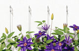 Fischer 50493 skrueanker og vægudtag 10 stk Udvidelsesanker 75 mm