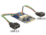 DeLOCK 95242 interface-kort/adapter Intern USB 2.0