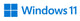 Microsoft Windows 11 Pro for Workstations 1 licens(er)