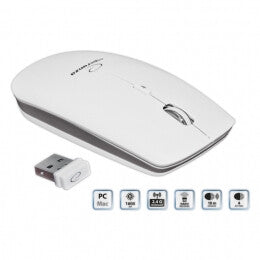 Esperanza EM120W mus Kontor RF trådløst Optisk 2400 dpi