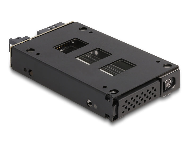 DeLOCK 47005 drive bay panel 2.5" Opbevaring drev bakke Sort, Sølv