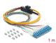 DeLOCK 91050 InfiniBand og fiberoptisk kabel 1 m 12x LC Pigtail Orange