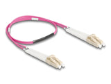 DeLOCK 88086\ InfiniBand og fiberoptisk kabel 0,5 m LC Violet