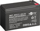 Goobay 16077 UPS batteri Blybatterier (VRLA) 12 V