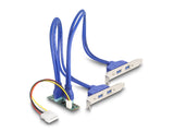 DeLOCK 61066 interface-kort/adapter Intern USB 3.2 Gen 1 (3.1 Gen 1)