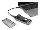 DeLOCK 42033 drevkabinet SSD kabinet Grå M.2