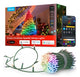 Govee H6870341 intelligent belysning Intelligent lyskæde Bluetooth