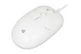 iBox Seagull mus Hjem Ambidextrous USB Type-A Optisk 2400 dpi
