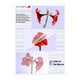 Olympia 1x25 DIN A3 80 micron plastlomme 25 stk