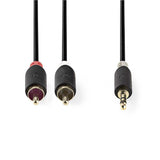 Nedis CABW22200AT20 lydkabel 2 m 3.5mm 2 x RCA Anthracit