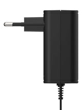 Ansmann APS 600 strømadapter og vekselret Sort