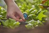 Gardena MDS 6-Pat.Spray Nozzle Sort Slutlinje montering