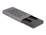 DeLOCK 42027 drevkabinet SSD kabinet Grå M.2