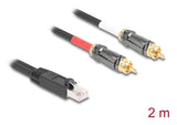 DeLOCK 88171 lydkabel 2 m RJ-45 2 x RCA Sort