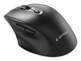 Gembird MUSW2-6B-02 mus Hjem Højre hånd RF trådløs + Bluetooth Optisk 2400 dpi