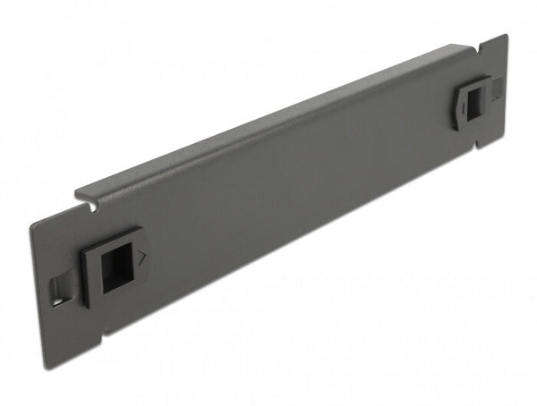 DeLOCK 66576 tilbehør til rack Blindpanel