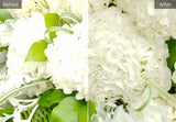 Corel AfterShot Pro 3 Grafisk redaktør Fuld 1 licens(er)