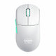CHERRY XTRFY CX-M68W-WHITE mus Spil Højre hånd RF trådløst 26000 dpi