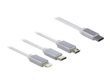 DeLOCK 85844 USB-kabel USB 2.0 0,98 m USB C USB C/Micro-USB B/Lightning Sølv, Hvid