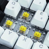 Sharkoon SKILLER SGK50 S3 tastatur Spil USB QWERTY Russisk Hvid