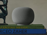 Google Home Speaker