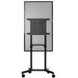 StarTech.com MBLTVSTNDEC tv-beslag 177,8 cm (70") Sort