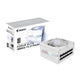 GIGABYTE AORUS ELITE P1000W ICE enhed til strømforsyning 1000 W 20+4 pin ATX ATX Hvid