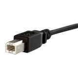 StarTech.com USBPNLBFBM3 USB-kabel USB 2.0 0,91 m USB B 0,48 Gbit/sek. Sort