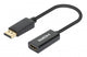 Manhattan 153713 videokabel adapter 0,15 m DisplayPort HDMI Sort