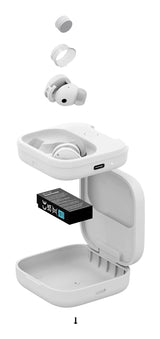 Fairphone Fairbuds Headset True Wireless Stereo (TWS) I ørerne Opkald/musik USB Type-C Bluetooth Hvid